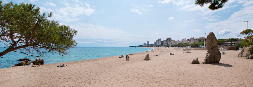 Descuento 15% Hotel Monterrey - Platja d'Aro